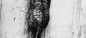 1 1
