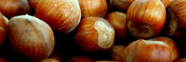 Nocciola