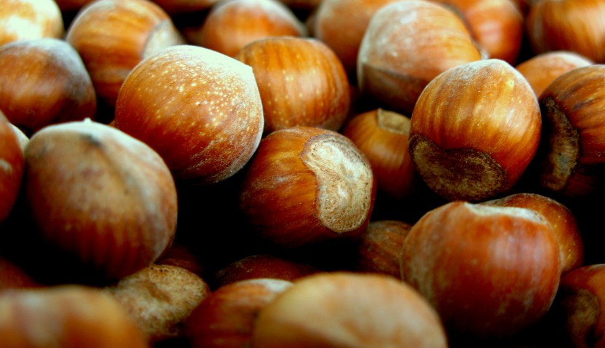 Nocciola