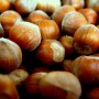 Nocciola