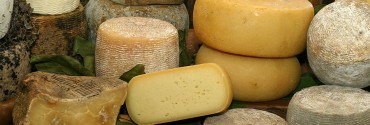 Formaggi vari