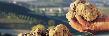 canelli_tartufo_bianco