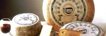 Toma piemontese