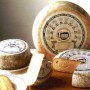 Toma piemontese