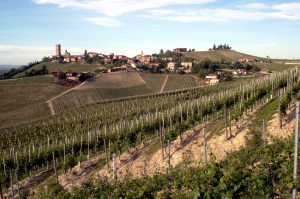 Barbaresco