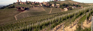Barbaresco