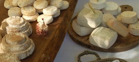 Formaggi tipici piemontesi Formaggi tipici piemontesi