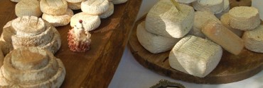 Formaggi tipici piemontesi