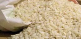 Risotto con le grive Risotto con le grive