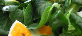 Sarsèt con uova, tonno e cipolline Sarsèt con uova, tonno e cipolline