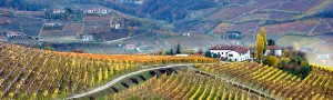 Le colline delle Langhe