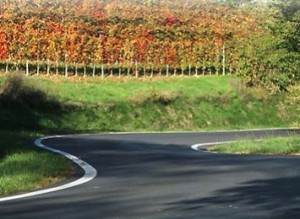 Le strade del barolo