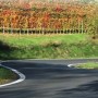 Le strade del barolo