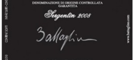 sergentin2008_th-300x2061 sergentin2008_th-300x2061