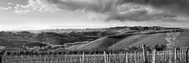 Le Langhe in memoria di Giorgio Bocca