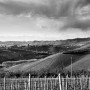 Le Langhe in memoria di Giorgio Bocca