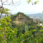 Santo Stefano Roero - Le Rocche