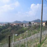Santo Stefano Roero - Panorama