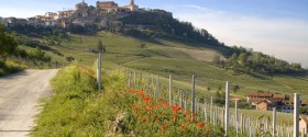 La Morra - Panorama