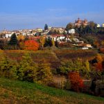 Novello - panorama