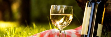 Vino-colore