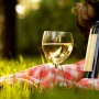 Vino-colore