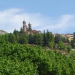 rodello1