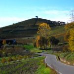 Strada per Verduno