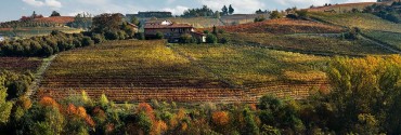 Cascina Gramolere immersa nelle vigne