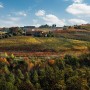Cascina Gramolere immersa nelle vigne