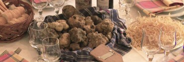 tartufi